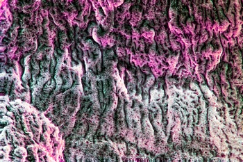 A 40B
